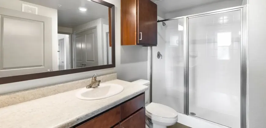 Olympus At Waterside Estates