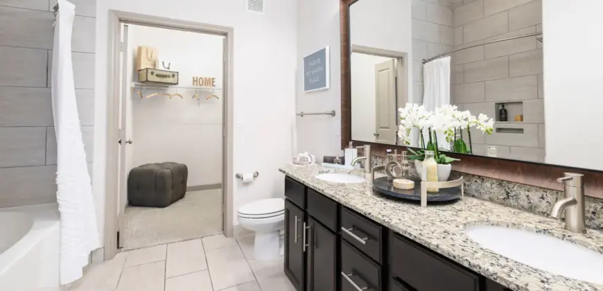 Olympus Auburn Lakes