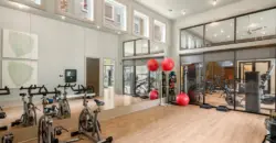 Olympus Grand Crossing