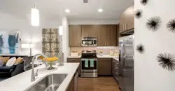 Olympus Grand Crossing