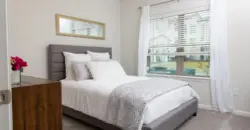 Oxford At Santa Clara I