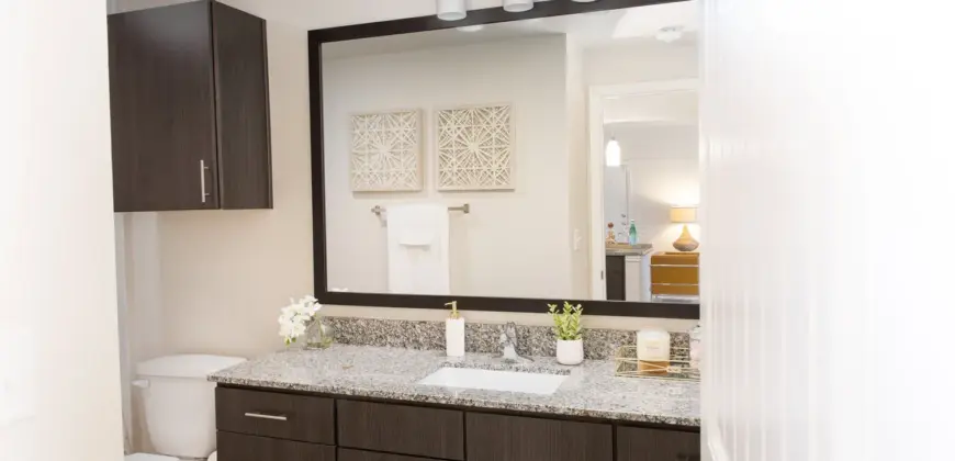 Oxford At Santa Clara I