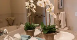 Palms At Cinco Ranch