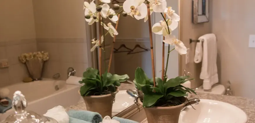 Palms At Cinco Ranch