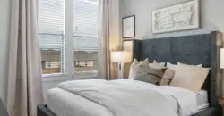 Palo
