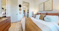 Paloma Village