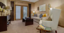 Palomino
