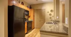 Palomino