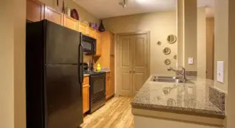 Palomino