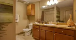 Palomino