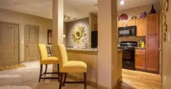 Palomino