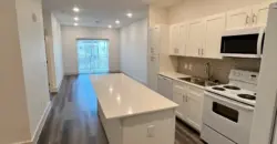 Palomino Flats