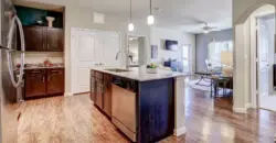 Platinum Shavano Oaks