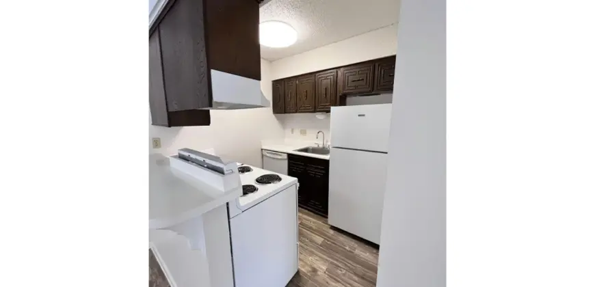 Preserve Hyde Park-Fiesta Place