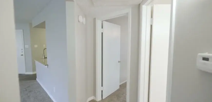 Preserve Wells Branch