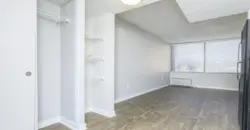 Providence Mockingbird