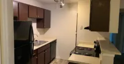 Radius At The Domain