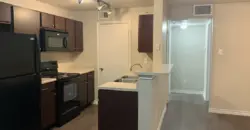 Radius At The Domain