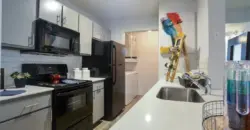 Radius At The Domain