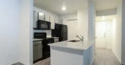 Radius At The Domain