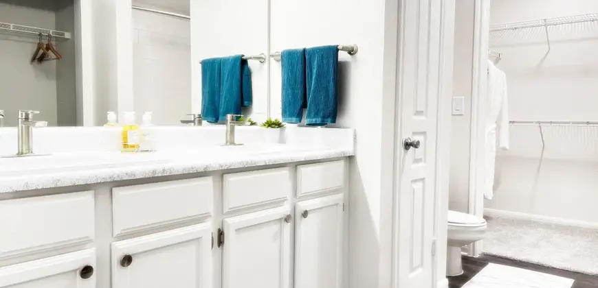 Renaissance At Northbend