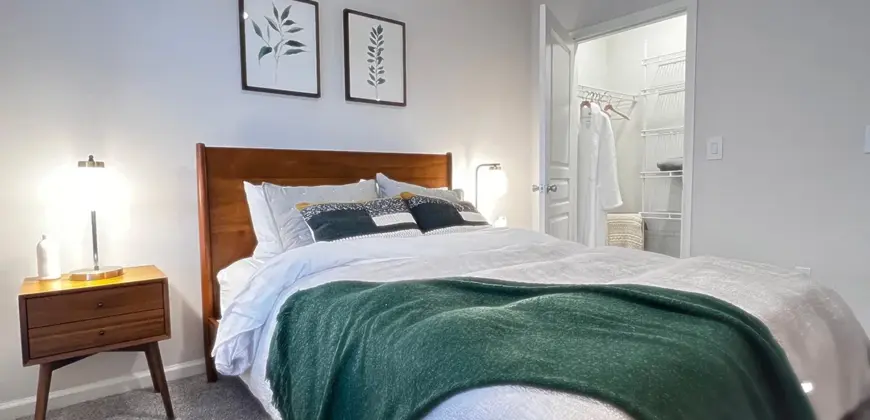 Renaissance At Northbend