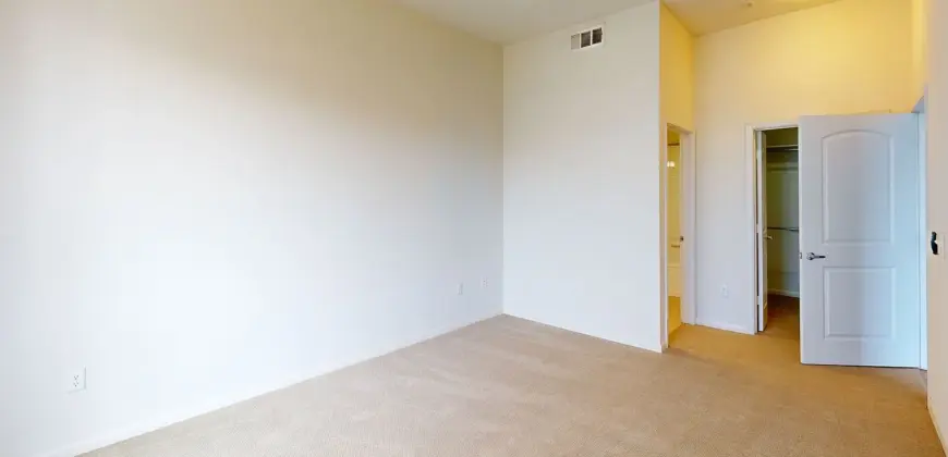 Residences At The Domain