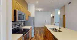 Residences At The Domain