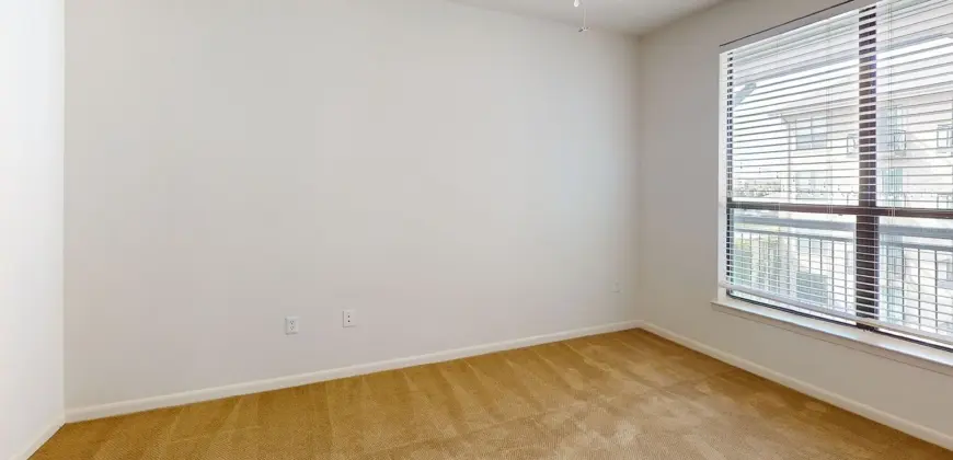 Residences At The Domain