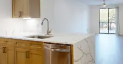 Residences At The Domain