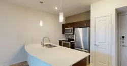 Residences At The Domain