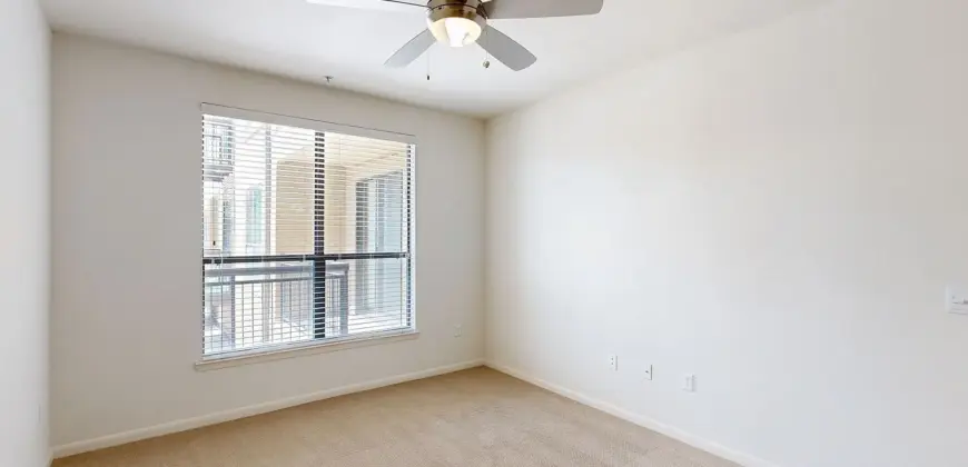 Residences At The Domain