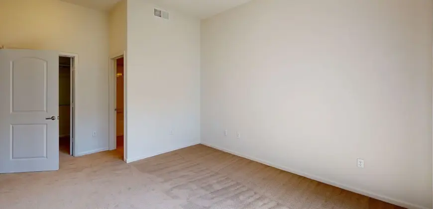 Residences At The Domain