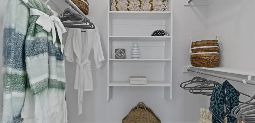 Reveal At Onion Creek