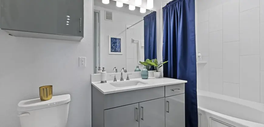 Reveal At Onion Creek