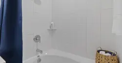 Reveal At Onion Creek