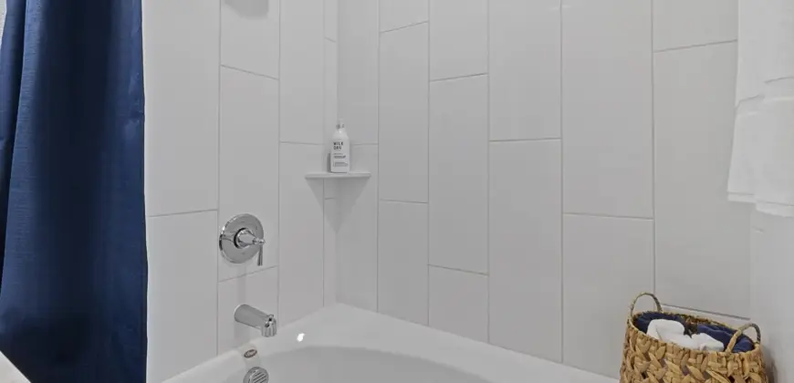 Reveal At Onion Creek