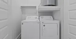 Reveal At Onion Creek