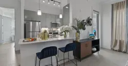 Reveal At Onion Creek