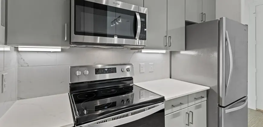 Reveal At Onion Creek