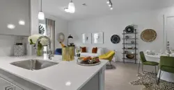 Reveal At Onion Creek