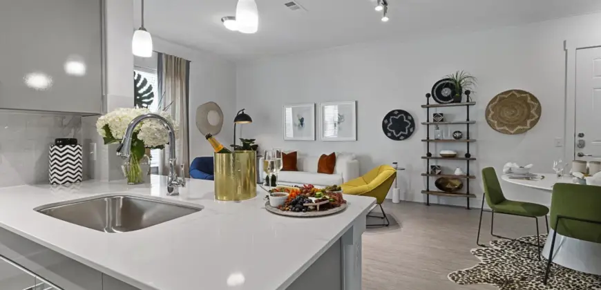 Reveal At Onion Creek