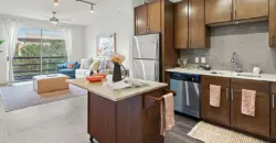 Standard At Domain Northside