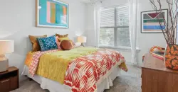 Standard At Domain Northside