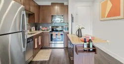 Standard At Domain Northside