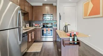 Standard At Domain Northside