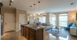 Sync At Purgatory Creek