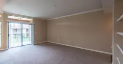 Sync At Purgatory Creek