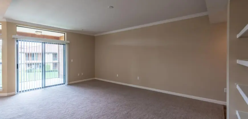 Sync At Purgatory Creek