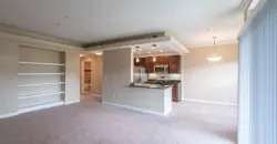 Sync At Purgatory Creek